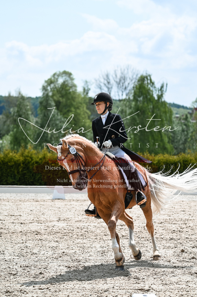 20230514_JK-Röhrsdorf-19-165 | Pferde- und Turnierfotografie in Westsachsen. Pferdeportraits, Auftragszeichnungen und intuitive Kunst.