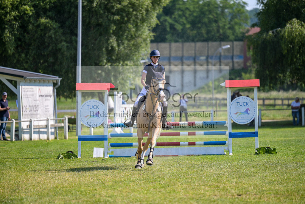 Reitturnier Voxtrup | Entdecke hochwertige Reitturnierfotos von Foto Oger. Professionell, emotional und authentisch – jetzt Lieblingsmomente im Shop bestellen.Deutschlandweite Turnierfotografie. - Realisiert mit Pictrs.com