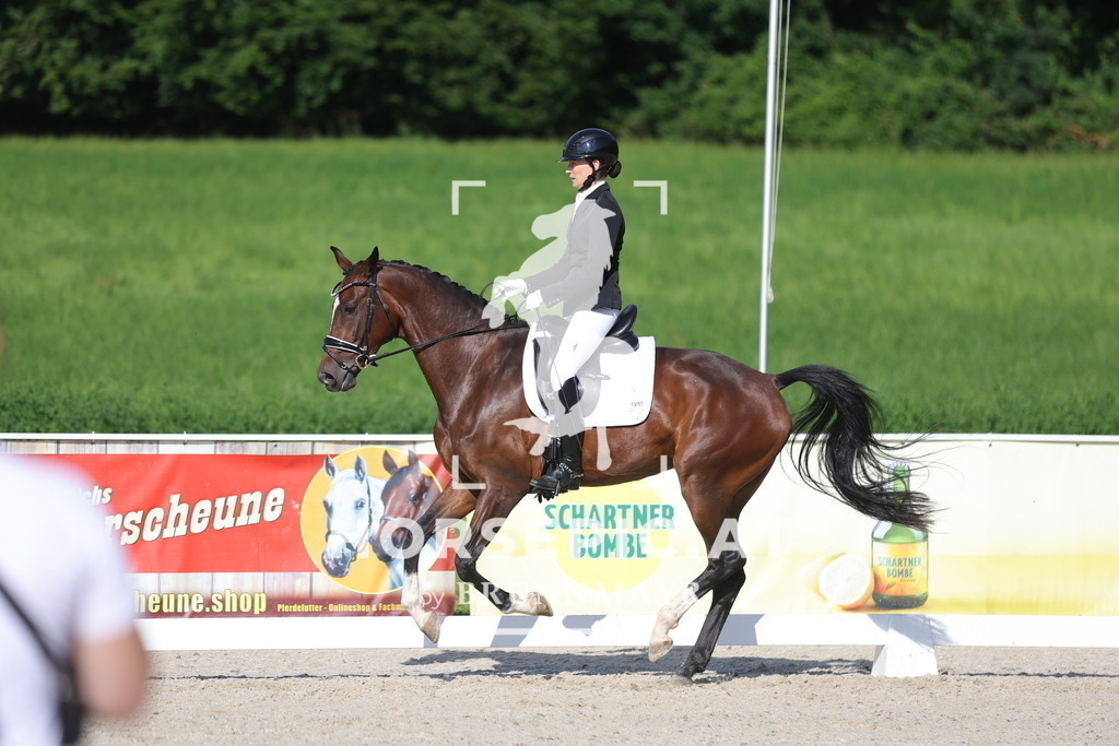 0P6A4598 | Willkommen bei Brunnmayr - Design & Fotografie – Ihrem Spezialisten für Reitturniere und Pferdeveranstaltungen in Oberösterreich, Salzburg und Bayern! Seit über 17 Jahren sind wir leidenschaftlich dabei.