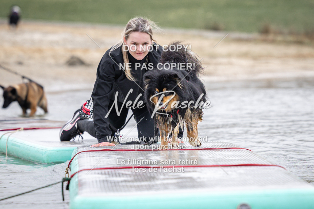 nelerasche_Hulsbeek_Sa1100-1130_90 | nelerasche