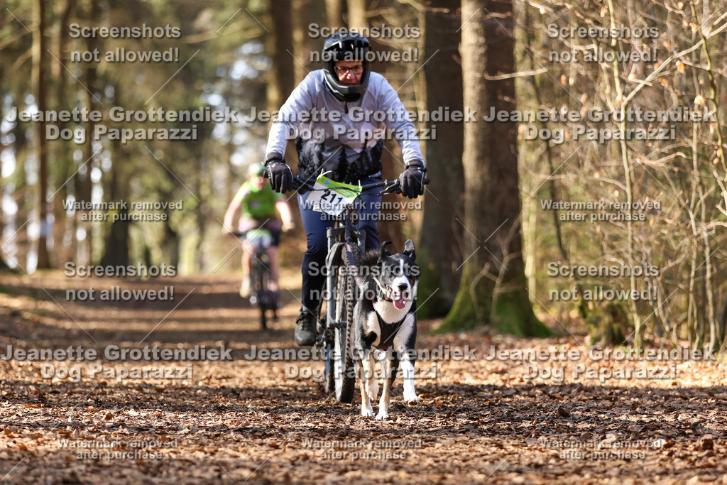 Dog Paparazzi - VCC26-1076 | Dog Paparazzi Jeanette Grottendiek Fotografie & Videografie - Realisiert mit Pictrs.com