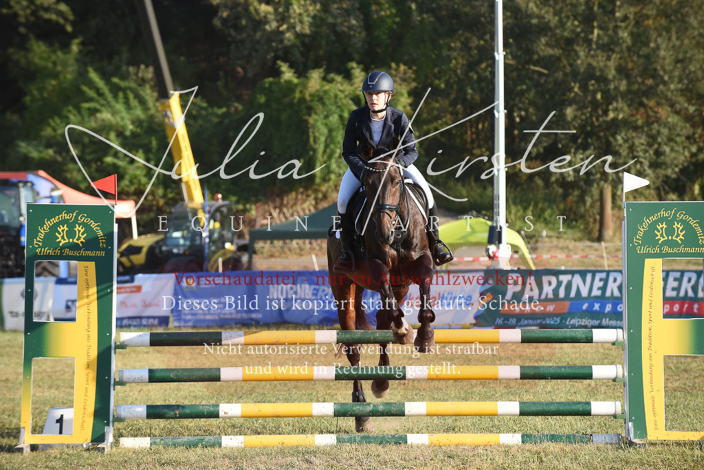 DSC_4875 | Pferde- und Turnierfotografie in Westsachsen. Pferdeportraits, Auftragszeichnungen und intuitive Kunst.