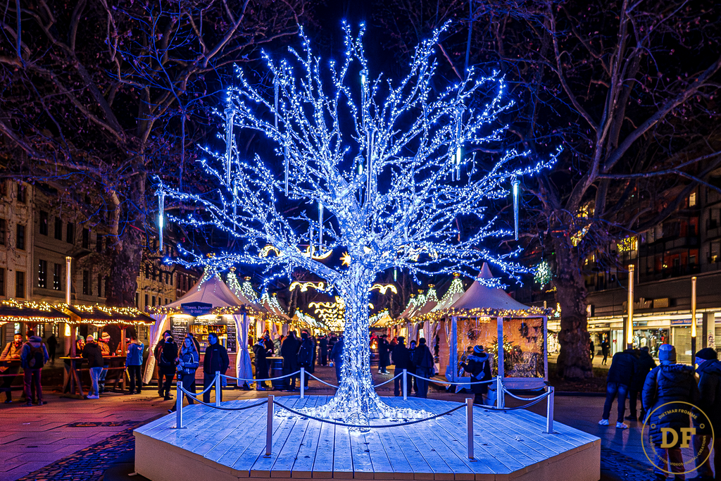 Weihnachtsmarkt Augustusmarkt Dresden 2 | Blauer Baum