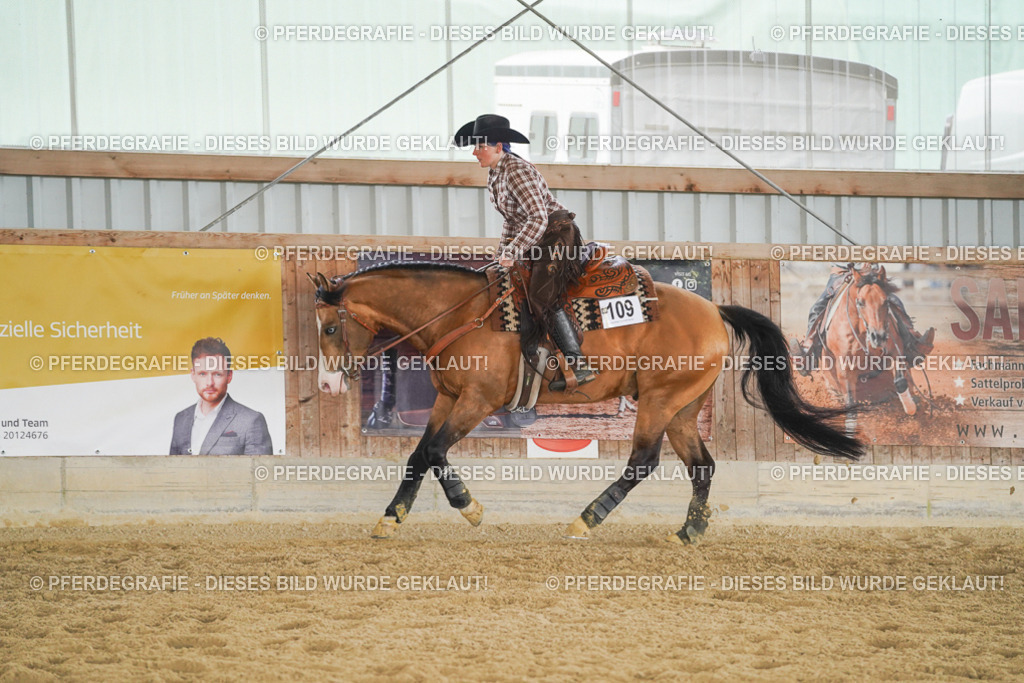 DSC05630 | Pferdegrafie