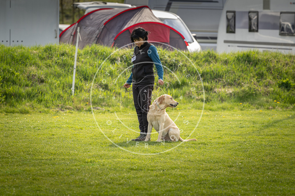 Pfotenfotografie_DV3A4987 | Hundefotografie, Tierfotograf, Pfotenfotografie, Fotoshooting Hund, Hunde Portrait, Hundesport, Hundeportraits, Heideshooting, Hunde, Sportfotograf, Hundefotograf, Turnierhundsport, THS,  - Realisiert mit Pictrs.com