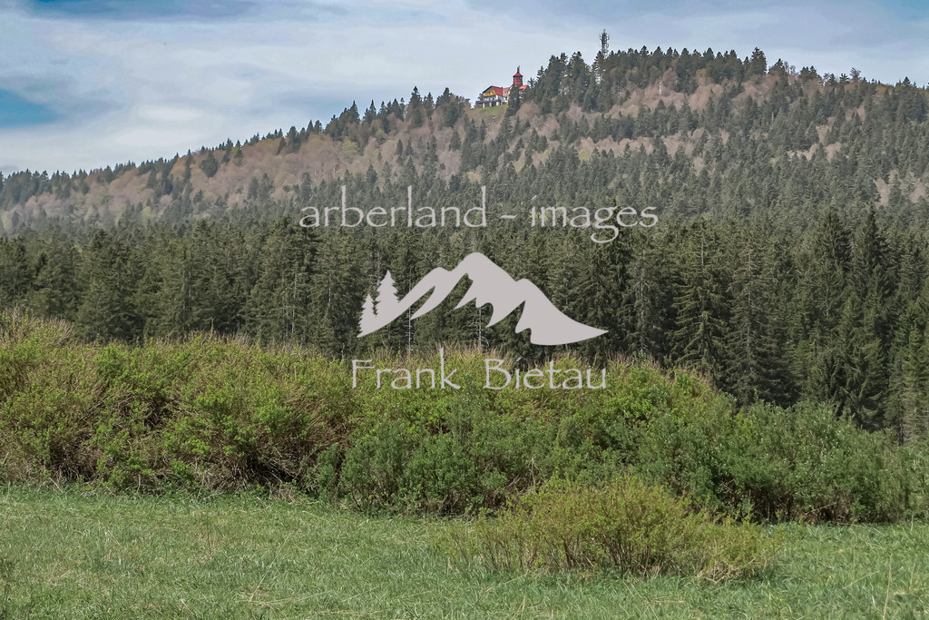 IMG_2005 | Blick zum Berg Panzer mit Berghütte ( Pancir ) bei Zelesna Ruda