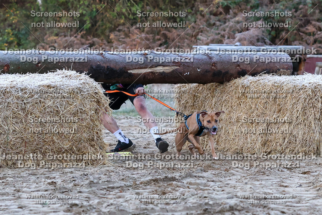 Dog Paparazzi - Strongdog 10-25-90 | Dog Paparazzi Jeanette Grottendiek Fotografie & Videografie - Realisiert mit Pictrs.com