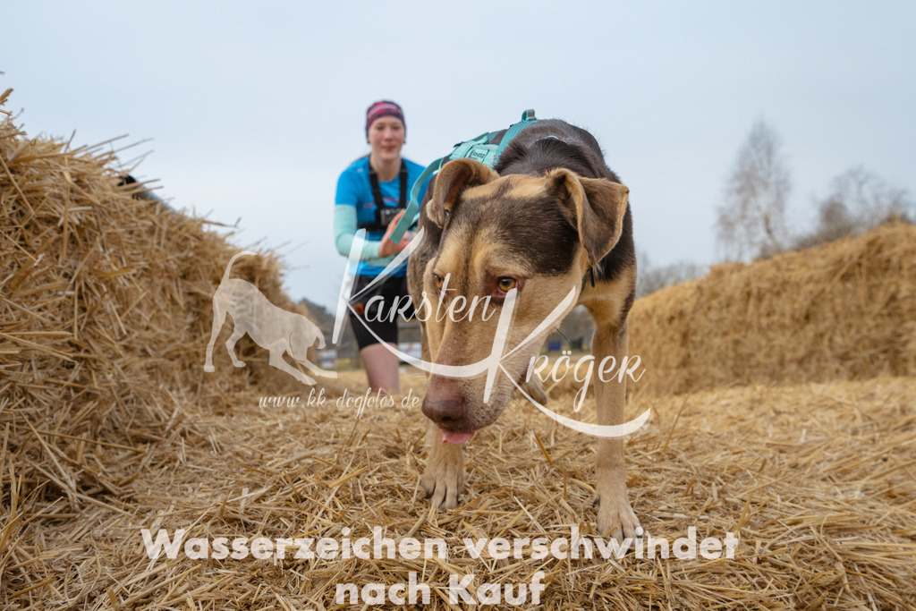 0837_ZZ93805 | kk-dogfotos