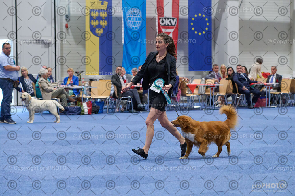 202406_ÖKV-IHA-Tulln24_DSC_3173 | proPHOTO - Realisiert mit Pictrs.com