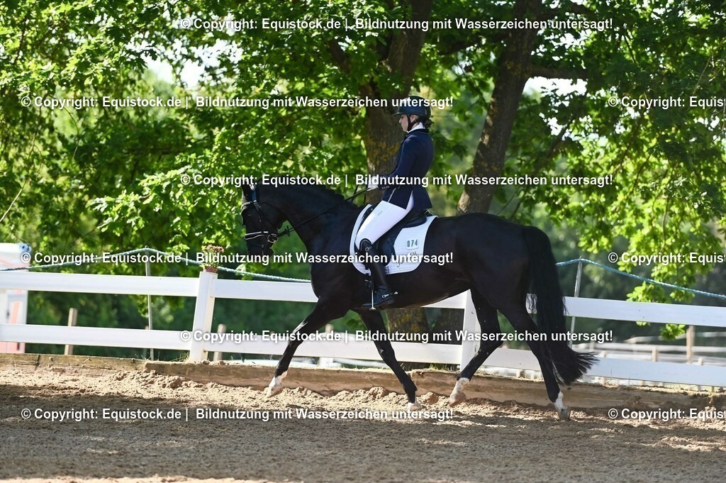 20230715_06_Dressurpferdeprfg. Kl.A_0252 | equistock