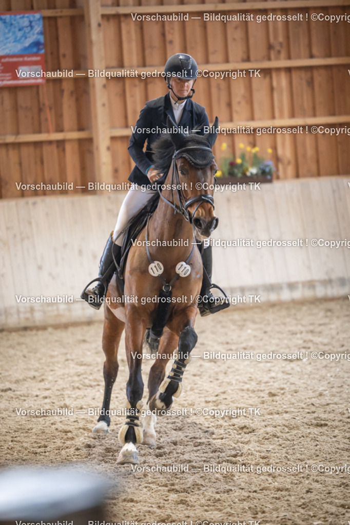 _D5A9617 | Emotionale Pferde- & People-Fotografie rund um Heidelberg, Leimen & Umgebung. Natürliche Fotos von Pferd, Mensch & Familie. Jetzt Termin sichern!