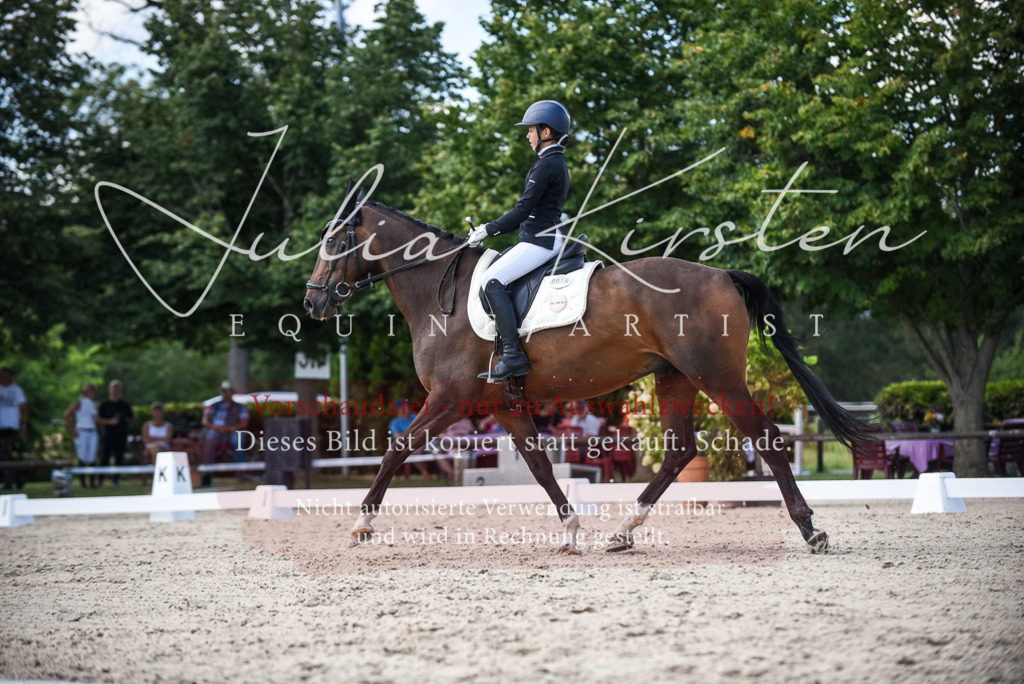 DSC_9410 | Pferde- und Turnierfotografie in Westsachsen. Pferdeportraits, Auftragszeichnungen und intuitive Kunst.