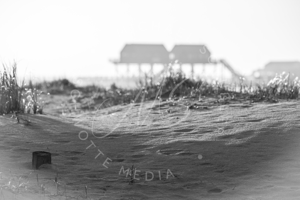 2024-01-27 SPO Duenen u Strand 024 | Schwotte Media - Realisiert mit Pictrs.com