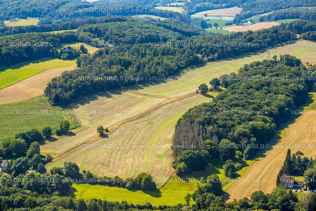 Hattingen220807973 | Luftbild, Baum im Feld mit Hochsitz, Wiesen und Felder, Wodantal, Elfringhauser Schweiz, Oberbredenscheid, Hattingen, Ruhrgebiet, Nordrhein-Westfalen, Deutschland