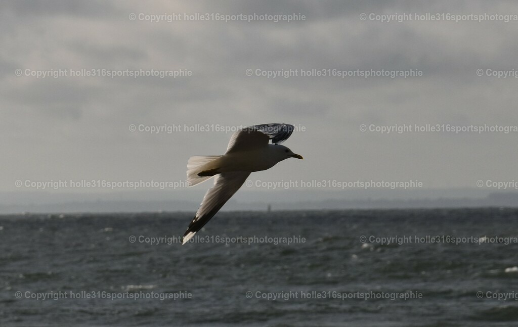 DSC_0059 (2) | Sportfotografie , Motorsport, Motoross, Reitsport, Mointainbike, Enduro,
Landschaft , Outdoor, Eventfotografie, Landschaft, Bilder online bestellen - Realisiert mit Pictrs.com