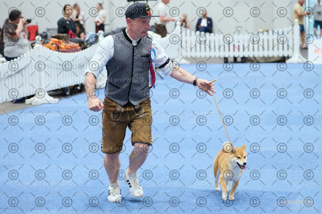 202406_ÖKV-IHA-Tulln24_DSC_2769 | proPHOTO - Realisiert mit Pictrs.com