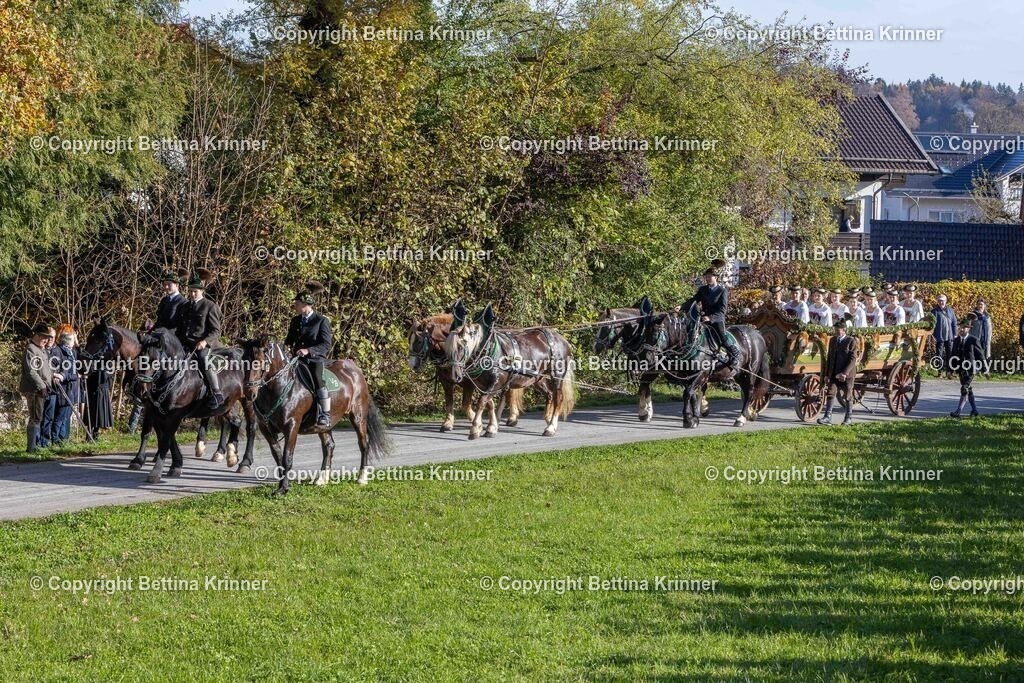 LBT24-460 | foto-bettina-krinner - Realisiert mit Pictrs.com