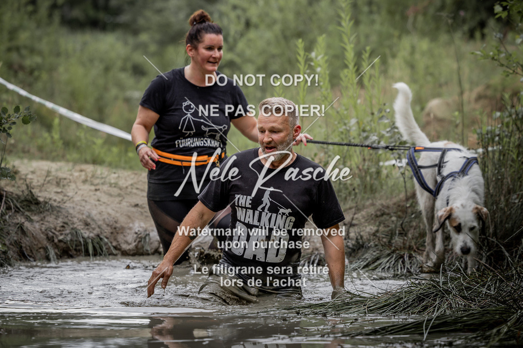 nelerasche_so0800-0930_425 | nelerasche