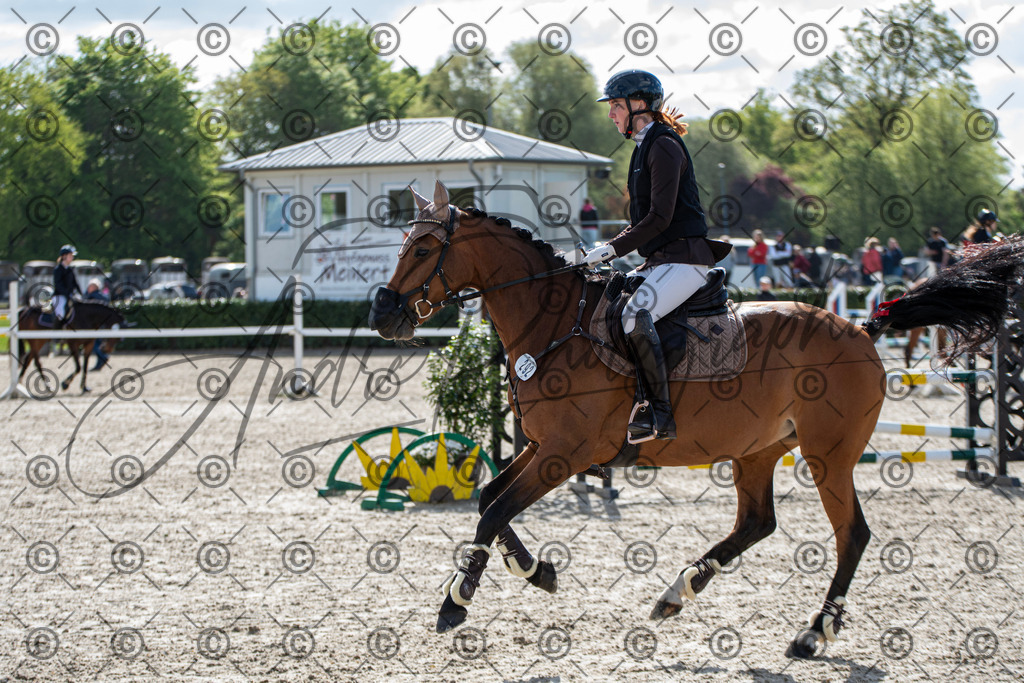 KPT_4657 | andre_photographic