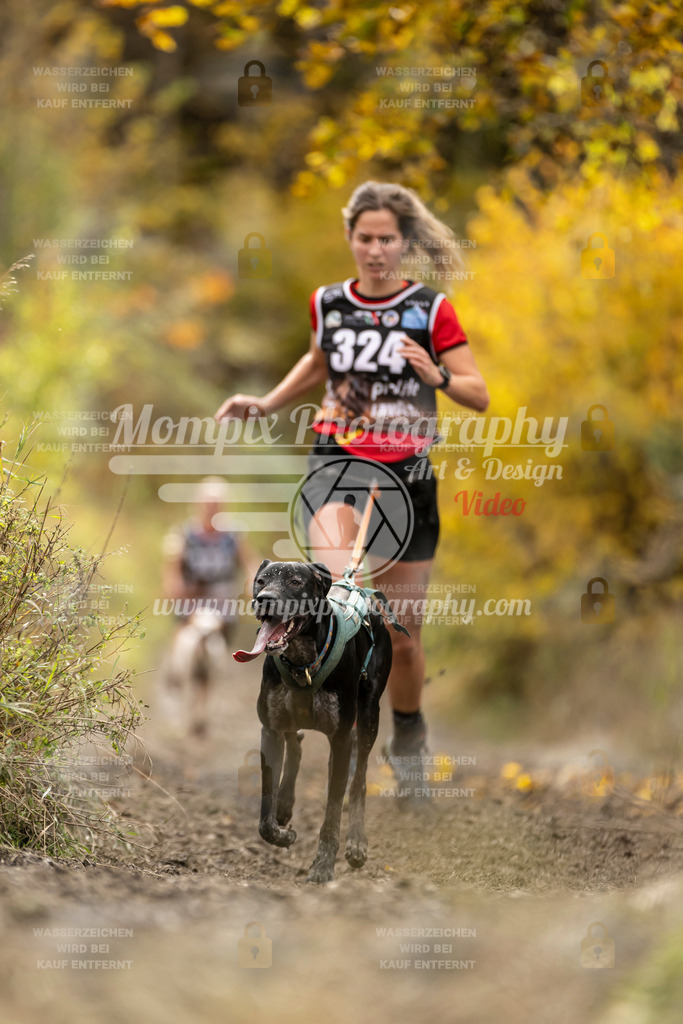 MompixPhotography_ICF_WC_2024_SA_Run_-195 | PayLife