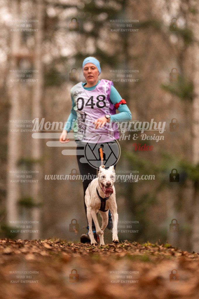 AKM_ST_2023_SAM_Run-116 | PayLife
