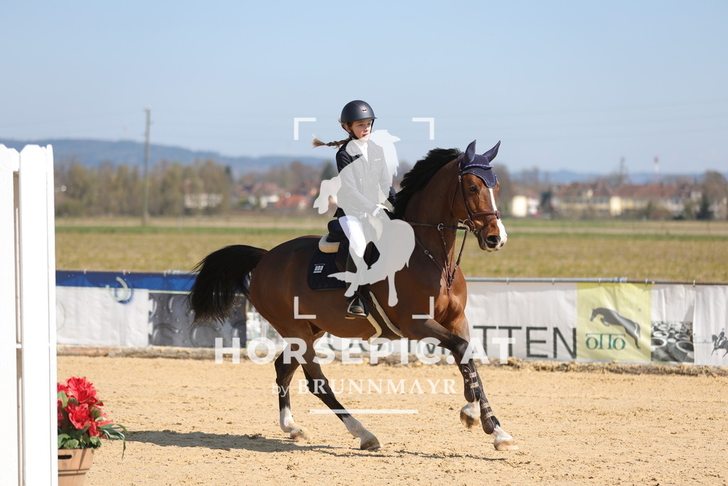 0P6A6690 | Willkommen bei Brunnmayr - Design & Fotografie – Ihrem Spezialisten für Reitturniere und Pferdeveranstaltungen in Oberösterreich, Salzburg und Bayern! Seit über 17 Jahren sind wir leidenschaftlich dabei.