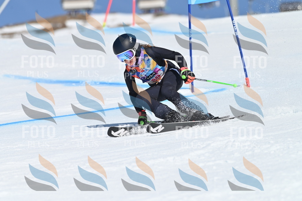 BGV_9239 | holidayphoto