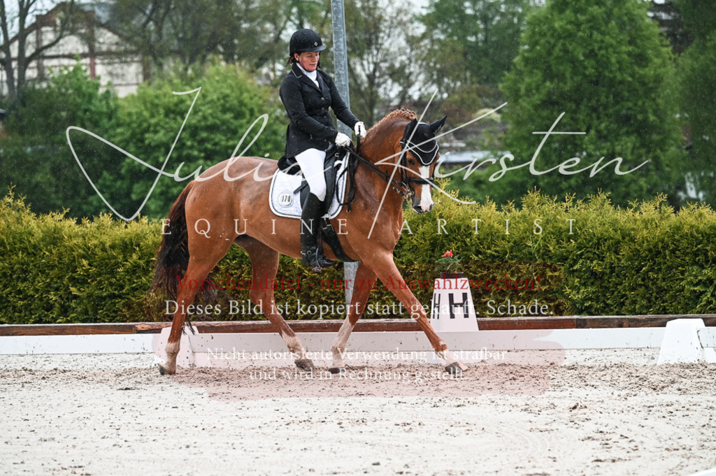 DSC_4468 | Pferde- und Turnierfotografie in Westsachsen. Pferdeportraits, Auftragszeichnungen und intuitive Kunst.