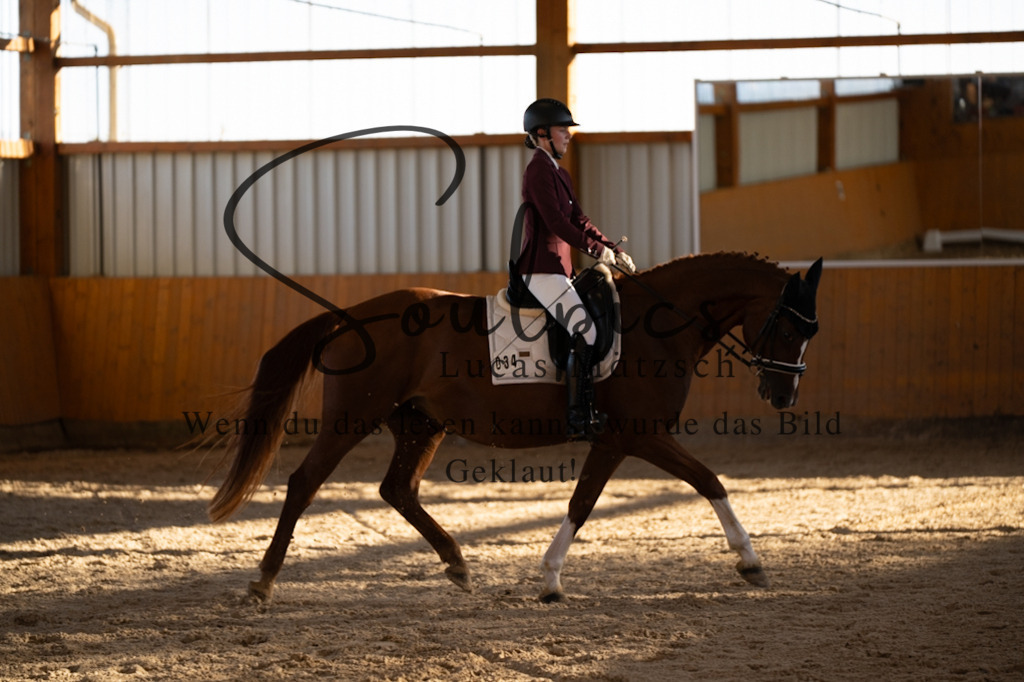 A7V01645 | Turnier/Reitfotograf