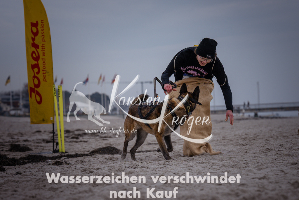 1210_ZZ92289 | kk-dogfotos