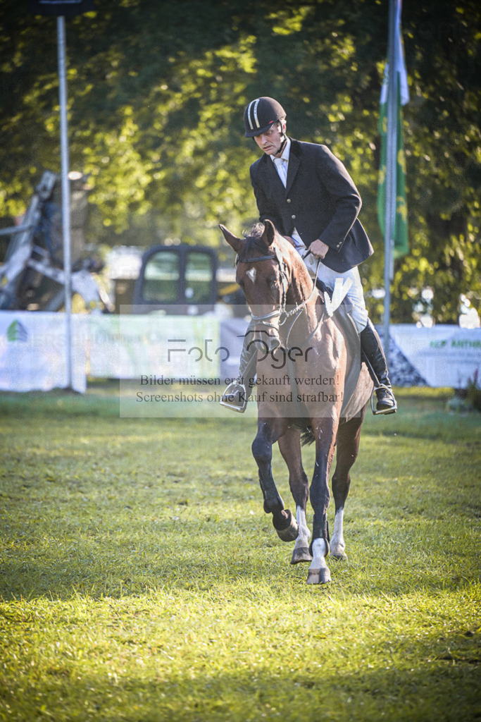 DOS_0084 | Entdecke hochwertige Reitturnierfotos von Foto Oger. Professionell, emotional und authentisch – jetzt Lieblingsmomente im Shop bestellen.Deutschlandweite Turnierfotografie. - Realisiert mit Pictrs.com