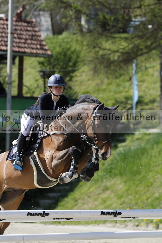 _MG_6783 | equestrian-live-com
