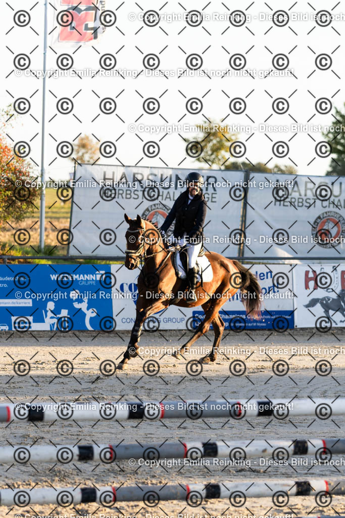 CL5A0804 | Emilia Reinking Fotografie - Realisiert mit Pictrs.com