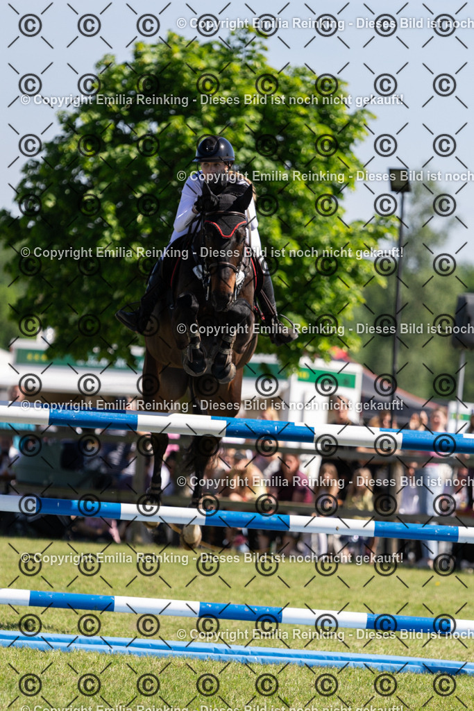 CL5A1332 | Emilia Reinking Fotografie - Realisiert mit Pictrs.com