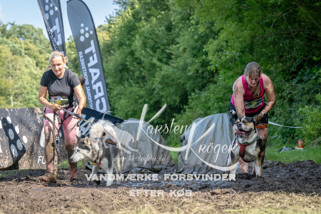 1558_ZZ92099 | kk-dogfotos