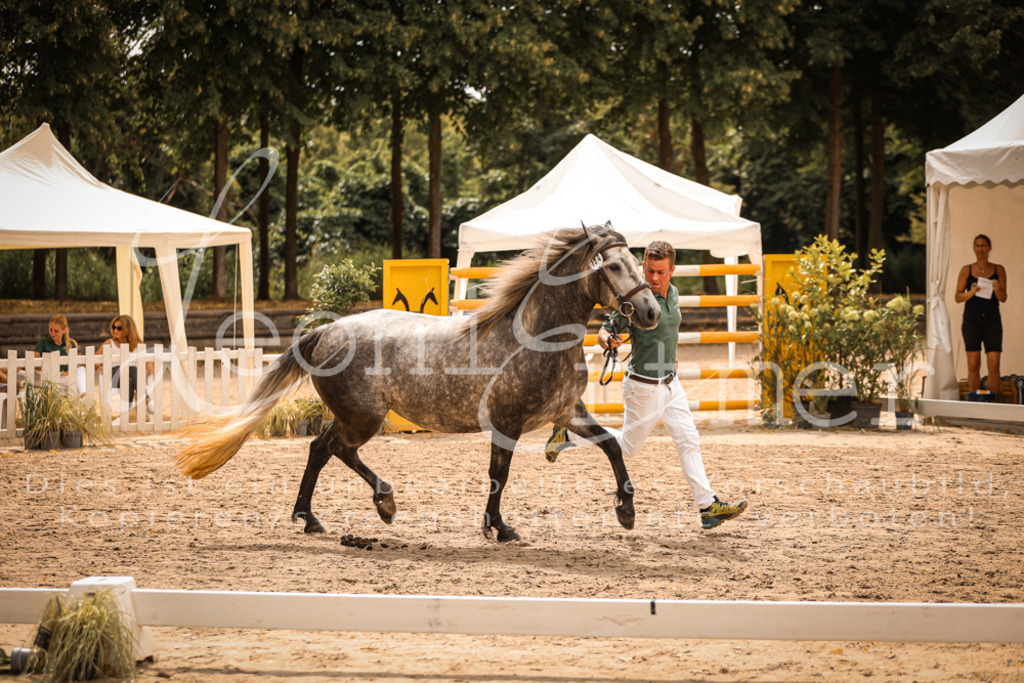 04.So00083 | Leoni Ertmer Photography - Realisiert mit Pictrs.com