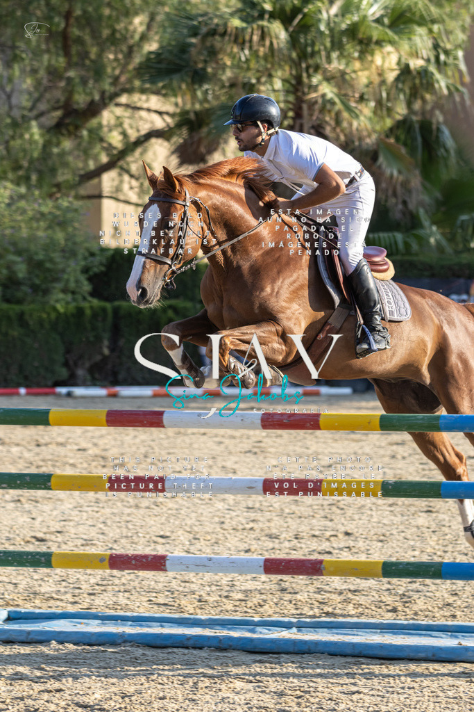 IMG_9741 | s-jay-photography - Realisiert mit Pictrs.com