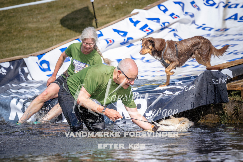 _ZZ926160928 | kk-dogfotos
