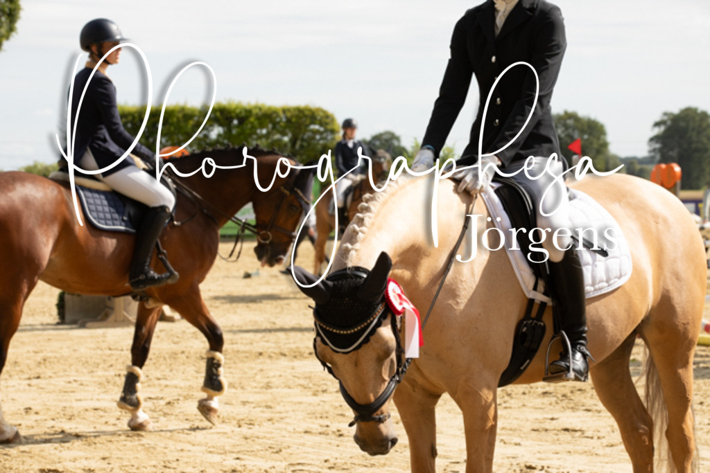 IMG_6660 | photographesa-joergens - Realisiert mit Pictrs.com