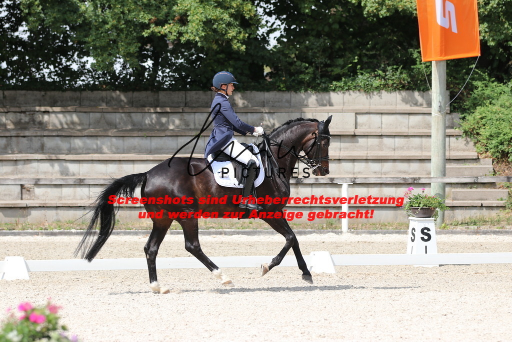 IMG_7184 | lmwpictures - Realisiert mit Pictrs.com