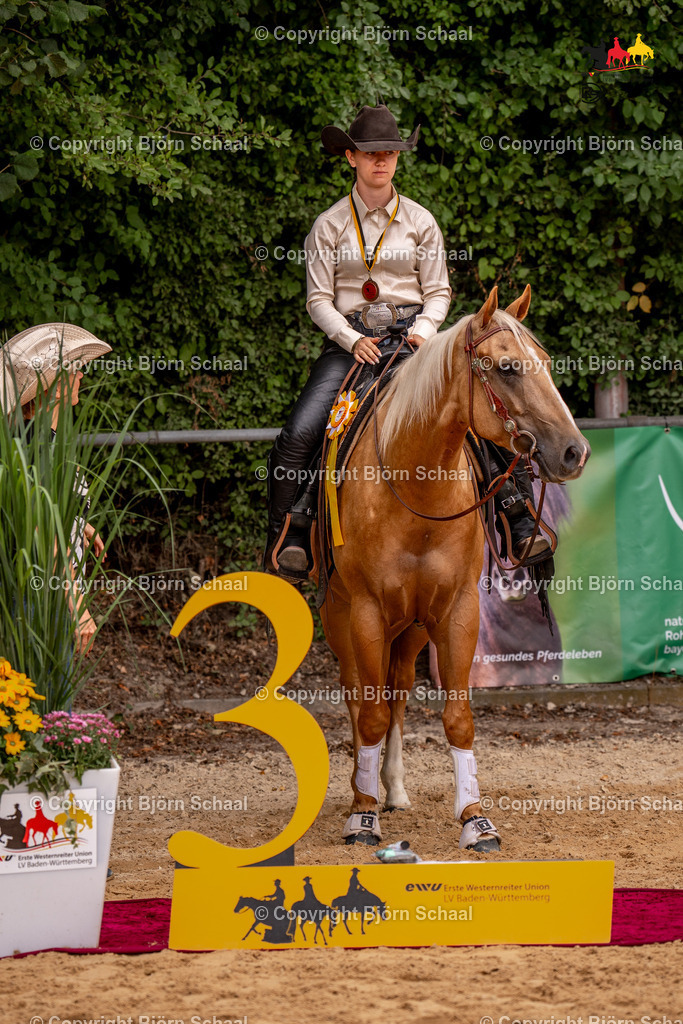 LMS07560 | BS-foto