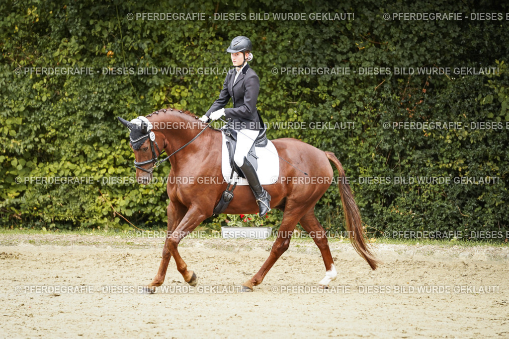 DSC00401 | Pferdegrafie