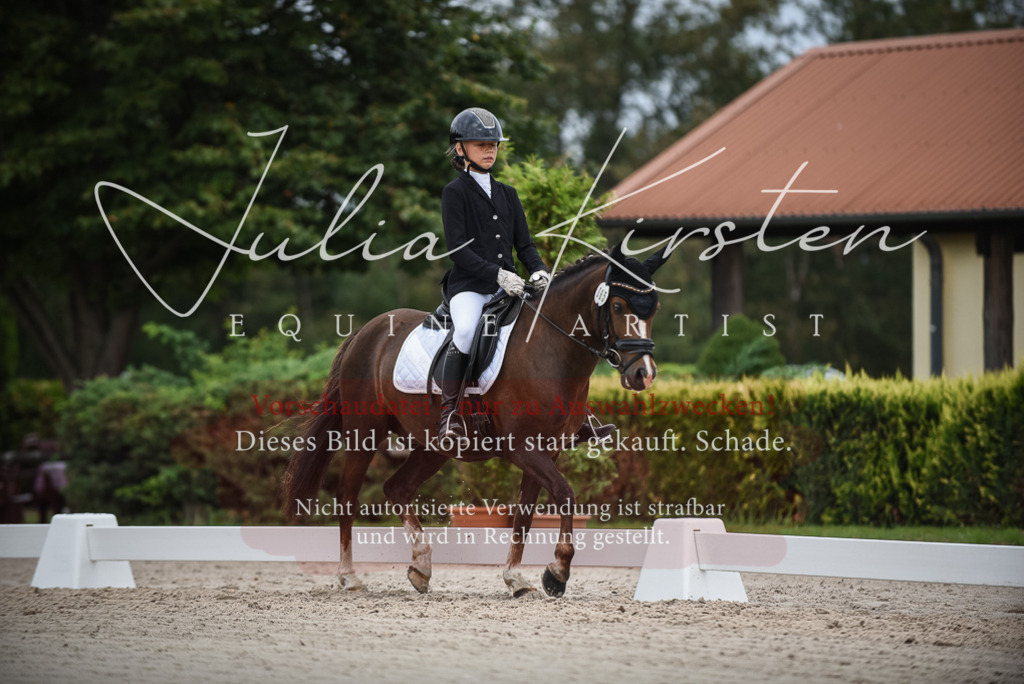 DSC_8152 | Pferde- und Turnierfotografie in Westsachsen. Pferdeportraits, Auftragszeichnungen und intuitive Kunst.