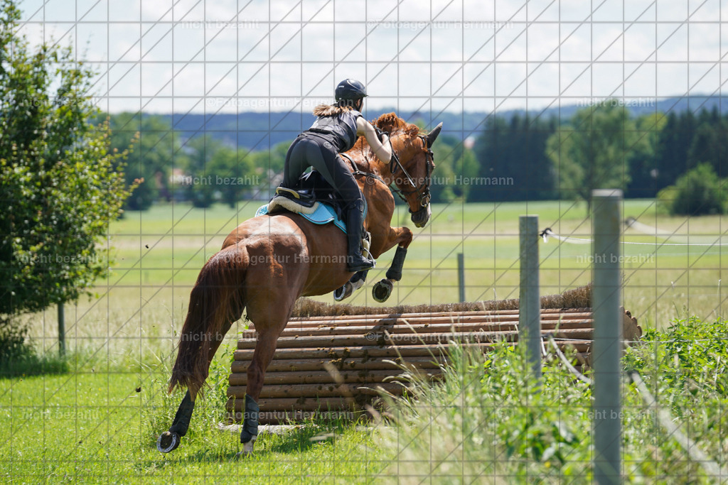 20240622-FAH06832 | Turnierfotografen Bayern, Reitsportbilder aus dem Geländekurs mit Felix Etzel auf dem Gut Waitzacker 2024