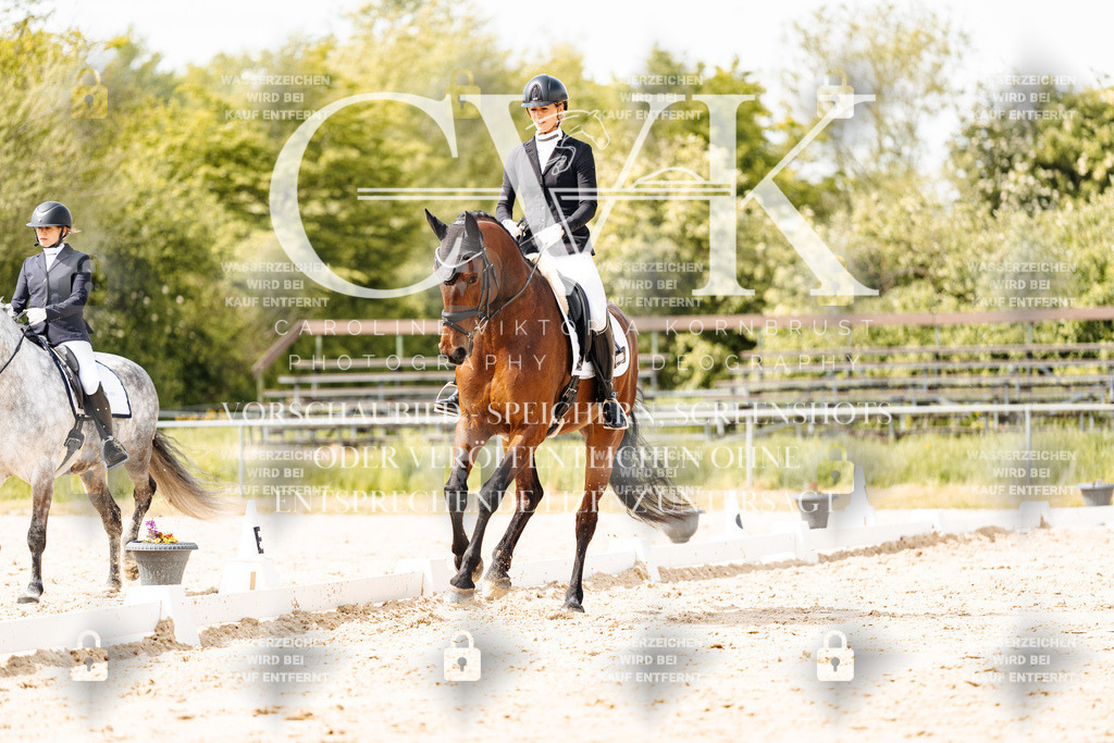 CK901540 | Turnierfotografie Pferdefotografie Trier Rheinland-Pfalz Pferdesport Reitsport Tierfotografie Sportfotografie Pferdevideo Pferdevideografie Equestrianvideography equestrianphotography  - Realisiert mit Pictrs.com
