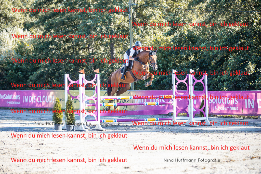 BK1A6072 | Turnierbilder Turnierfotos Nina Hüffmann Turnierfotografie Pferdefotografie Tierzeichnung Haustierzeichnung Pferdezeichnung Hundezeichnung Videograf  - Realisiert mit Pictrs.com
