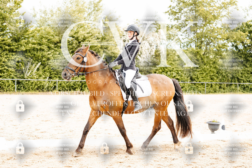 CK904759 | Turnierfotografie Pferdefotografie Trier Rheinland-Pfalz Pferdesport Reitsport Tierfotografie Sportfotografie Pferdevideo Pferdevideografie Equestrianvideography equestrianphotography  - Realisiert mit Pictrs.com