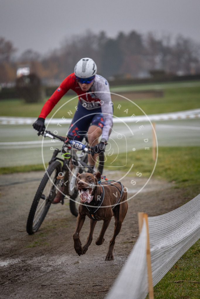 CaniXpix_0L8A1005 | Hundefotografie, Tierfotograf, Pfotenfotografie, Fotoshooting Hund, Hunde Portrait, Hundesport, Hundeportraits, Heideshooting, Hunde, Sportfotograf, Hundefotograf, Turnierhundsport, THS,  - Realisiert mit Pictrs.com