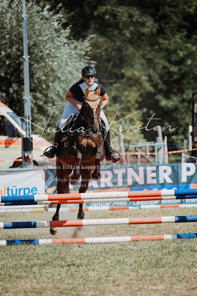 DSC_9642 | Pferde- und Turnierfotografie in Westsachsen. Pferdeportraits, Auftragszeichnungen und intuitive Kunst.