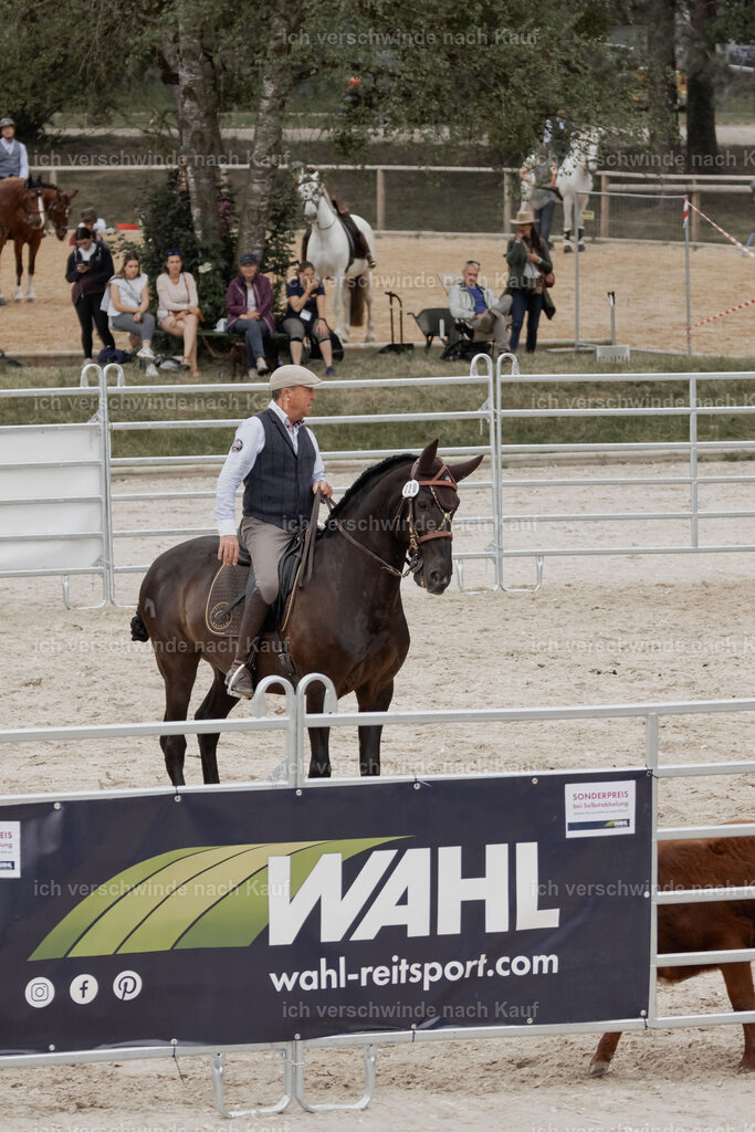 WE__Stoib_Rinder_PI2025_3048 | Pferd International München 2025